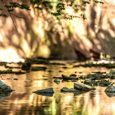 Am Roten Puhl, © Eifel Tourismus GmbH Am Roten Puhl, © Eifel Tourismus GmbH