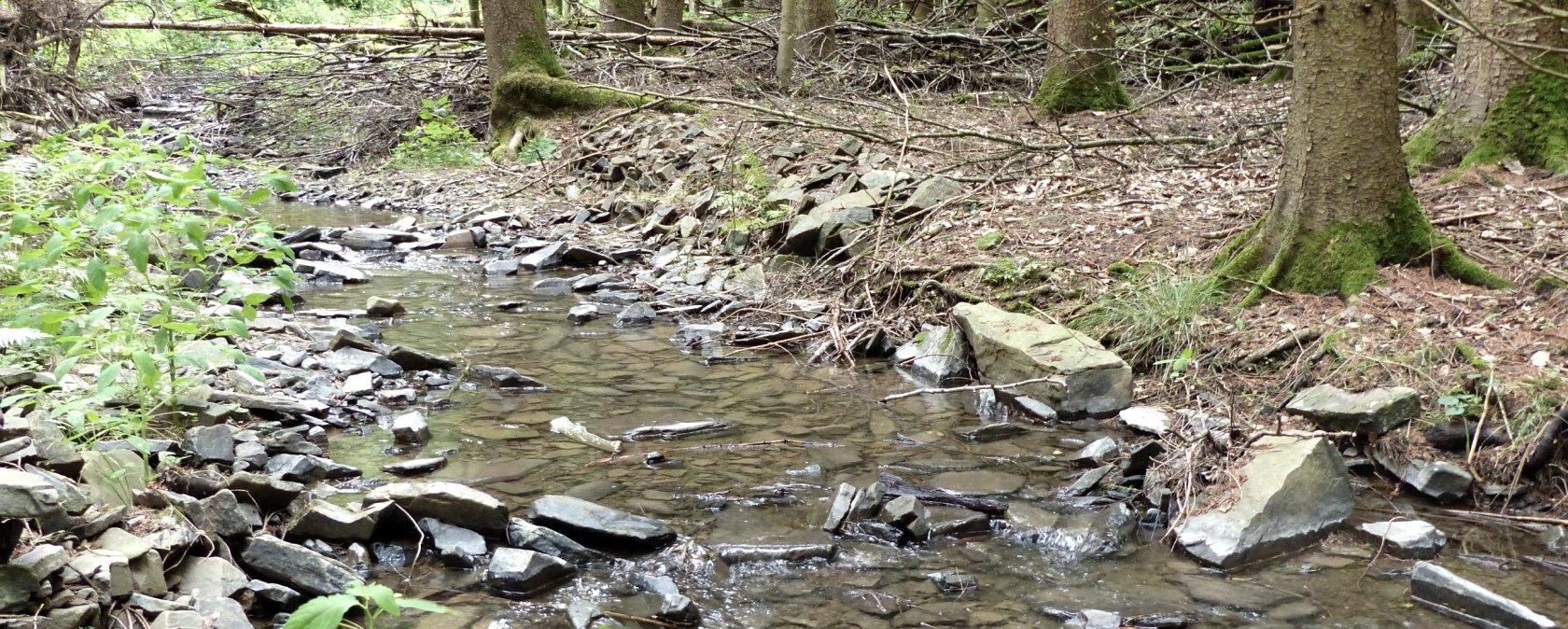 web DierbachP1110874, © Tourist-Information Islek web DierbachP1110874, © Tourist-Information Islek