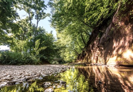 Vue sur la paroi de grès bigarré Roter Puhl, © Eifel Tourismus GmbH, D. Ketz Vue sur la paroi de grès bigarré Roter Puhl, © Eifel Tourismus GmbH, D. Ketz