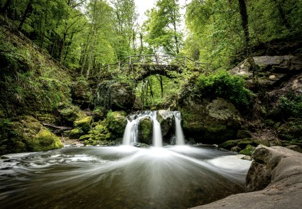 Schiessentümpel, © Eifel Tourismus GmbH, Dominik Ketz Schiessentümpel, © Eifel Tourismus GmbH, Dominik Ketz