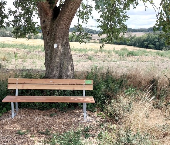 Un banc en bois est placé sous un arbre sur une aire de repos avec vue sur un vaste champ. Le sol est recouvert de copeaux de bois., © Otmar Schröder Un banc en bois est placé sous un arbre sur une aire de repos avec vue sur un vaste champ. Le sol est recouvert de copeaux de bois., © Otmar Schröder