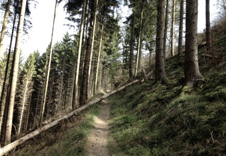 Umleitungen, © Eifel Tourismus Umleitungen, © Eifel Tourismus