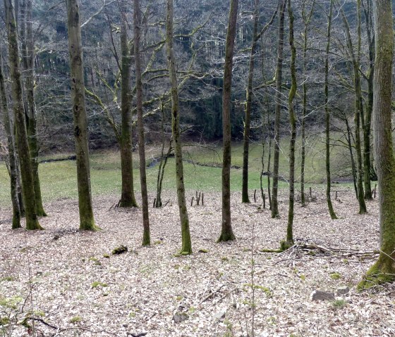 "Steinbach" im Tal, © Tourist-Information Islek "Steinbach" im Tal, © Tourist-Information Islek