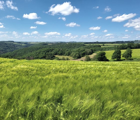 20250530_152632_resized, © Tourist-Information Islek 20250530_152632_resized, © Tourist-Information Islek