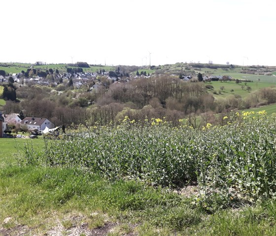 blick-auf-welschbillig, © Alexa Hansen blick-auf-welschbillig, © Alexa Hansen