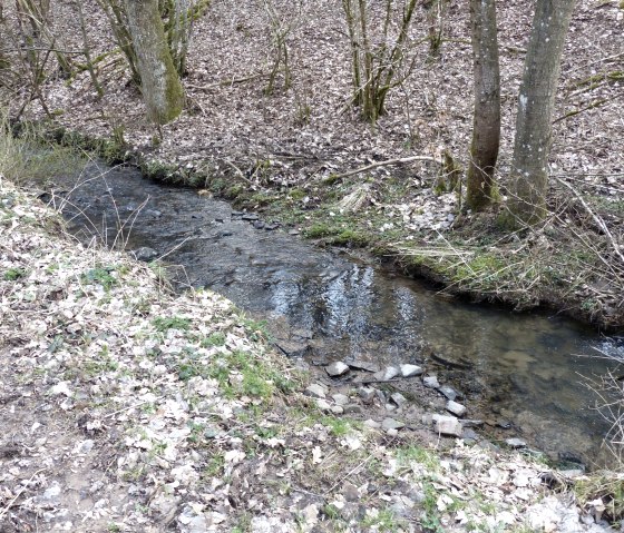 Steinbach, © Tourist-Information Islek Steinbach, © Tourist-Information Islek