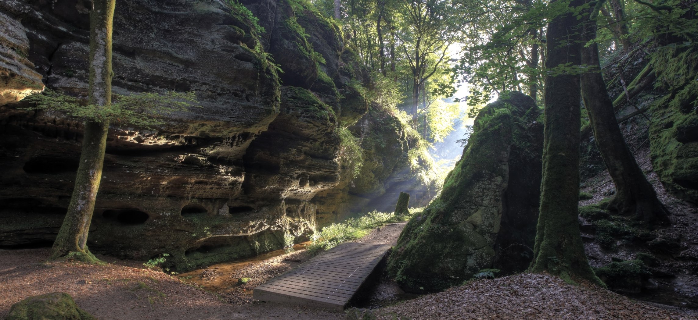 Das Aesbachtal auf dem Felsenweg1 des Naturwanderpark delux zwischen Echternach und Berdorf, © Naturpark Südeifel, Ch. Schleder Das Aesbachtal auf dem Felsenweg1 des Naturwanderpark delux zwischen Echternach und Berdorf, © Naturpark Südeifel, Ch. Schleder