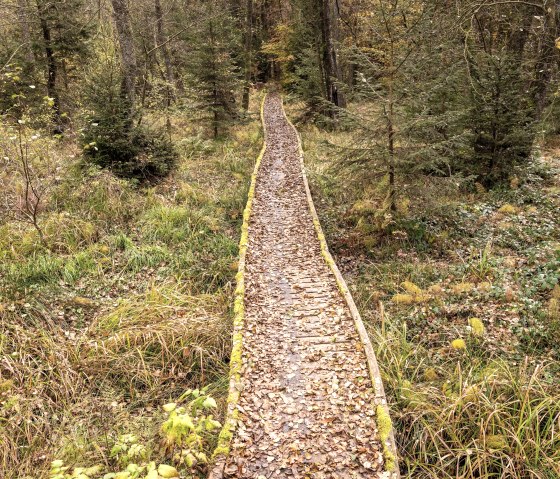 Moore-Pfad im Naturpark Nordeifel, © Eifel Tourismus, Dominik Ketz Moore-Pfad im Naturpark Nordeifel, © Eifel Tourismus, Dominik Ketz