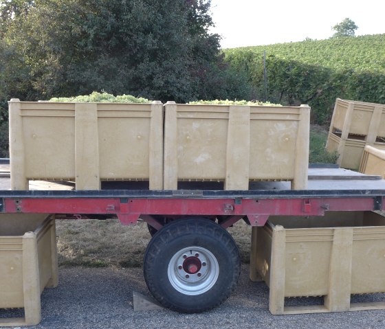 Vignobles, © Deutsch-Luxemburgische Tourist-Information Vignobles, © Deutsch-Luxemburgische Tourist-Information