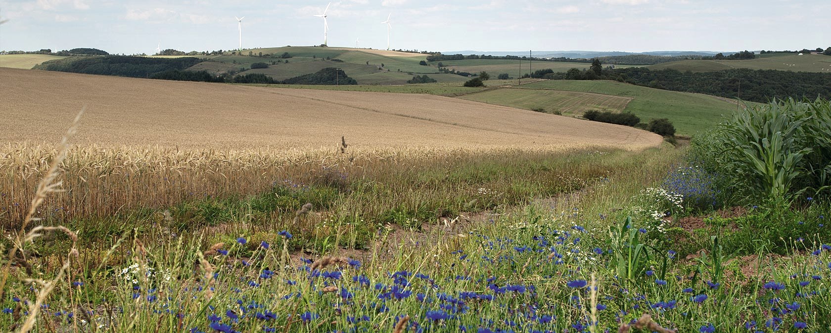 Eifel hoogten, © Volker Teuschler Eifel hoogten, © Volker Teuschler