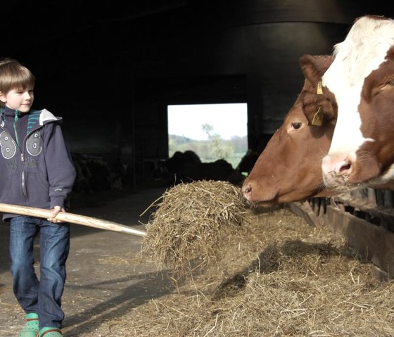 Aktivurlaub - Bauernhof Aktivurlaub - Bauernhof