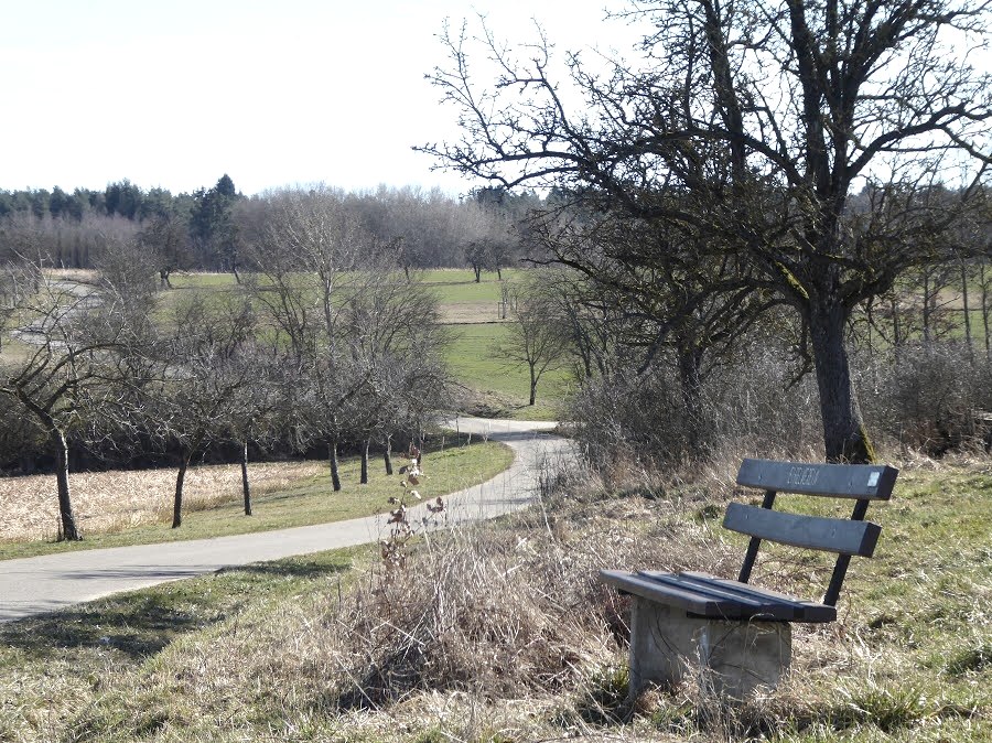 Un banc se trouve au bord du chemin, avec vue sur un paysage rural. Un sentier sinueux traverse des champs et des arbres., © Eifelverein Ortsgruppe Speicher Un banc se trouve au bord du chemin, avec vue sur un paysage rural. Un sentier sinueux traverse des champs et des arbres., © Eifelverein Ortsgruppe Speicher