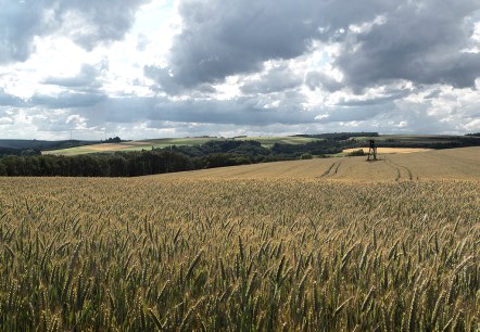 Wallfährte Weidingen, © Naturpark Südeifel, Volker Teuschler Wallfährte Weidingen, © Naturpark Südeifel, Volker Teuschler