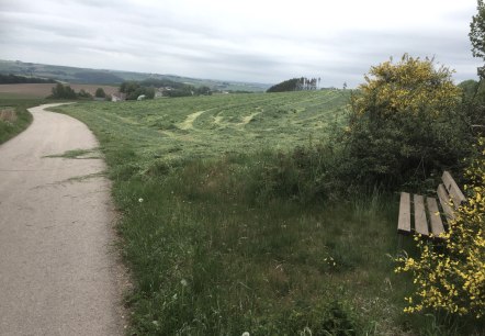 img_8143, © Manuel Norta, Ammeldingen img_8143, © Manuel Norta, Ammeldingen