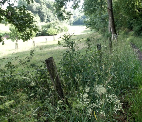 Dans la vallée de l'Agneau, © V. Teuschler Dans la vallée de l'Agneau, © V. Teuschler