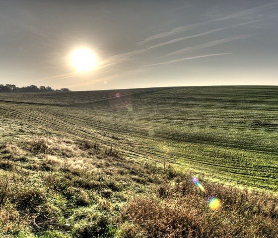 Sonnenuntergang über einer weiten, grünen Landschaft mit sanften Hügeln und Bäumen am Horizont., © Naturpark Südeifel, P. Haas Sonnenuntergang über einer weiten, grünen Landschaft mit sanften Hügeln und Bäumen am Horizont., © Naturpark Südeifel, P. Haas