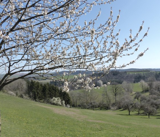 P1100020, © Tourist-Information Islek P1100020, © Tourist-Information Islek