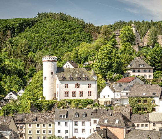 Kasteel Neuerburg torent uit boven een stad met historische huizen, omringd door weelderige groene bossen onder een blauwe hemel., © Eifel Tourismus GmbH, Dominik Ketz Kasteel Neuerburg torent uit boven een stad met historische huizen, omringd door weelderige groene bossen onder een blauwe hemel., © Eifel Tourismus GmbH, Dominik Ketz