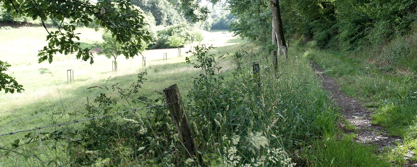 Dans la vallée de l'Agneau, © V. Teuschler Dans la vallée de l'Agneau, © V. Teuschler