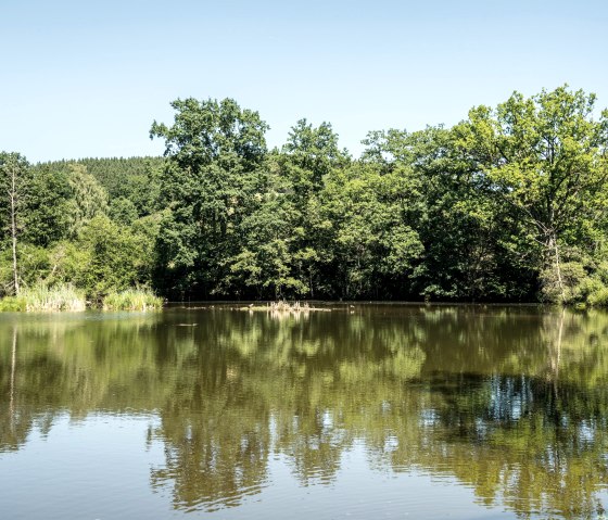 Stauweiher an der Eifelgold-Route, © Eifel Tourismus GmbH, Dominik Ketz Stauweiher an der Eifelgold-Route, © Eifel Tourismus GmbH, Dominik Ketz