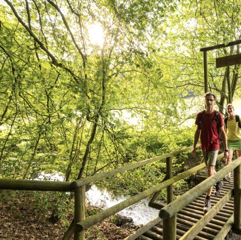 Sentier du ruisseau dans le NaturWanderPark delux, Ernst-Brücke sur l'Alfbach, © Eifel Tourismus GmbH, D. Ketz Sentier du ruisseau dans le NaturWanderPark delux, Ernst-Brücke sur l'Alfbach, © Eifel Tourismus GmbH, D. Ketz