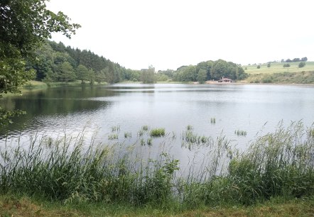 Barrierefreier Rundgang Stausee Auw_Indra Schaperdoth (21), © Indra Schaperdoth Barrierefreier Rundgang Stausee Auw_Indra Schaperdoth (21), © Indra Schaperdoth