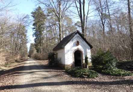 Eine kleine Kapelle steht am Waldrand neben einem Schotterweg. Die Umgebung ist von Bäumen gesäumt, die Blätter auf dem Boden liegen., © Eifelverein Ortsgruppe Speicher Eine kleine Kapelle steht am Waldrand neben einem Schotterweg. Die Umgebung ist von Bäumen gesäumt, die Blätter auf dem Boden liegen., © Eifelverein Ortsgruppe Speicher