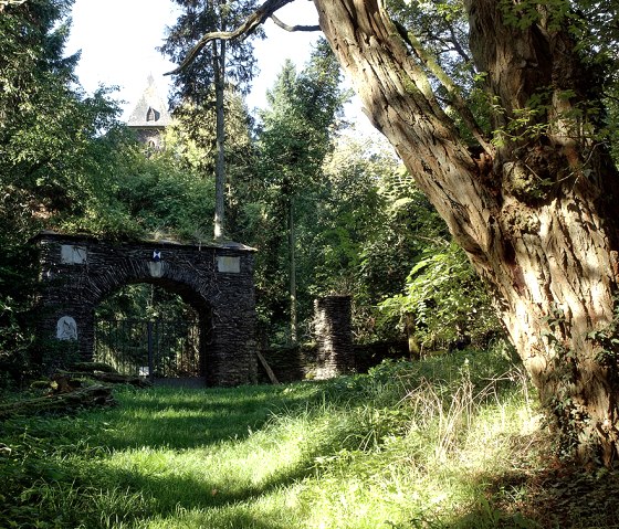 Ein Steinbogen im Wald, umgeben von Bäumen, mit einem Turm im Hintergrund. Sonnenlicht fällt auf den moosbewachsenen Boden., © Naturpark Südeifel, V. Teuschler Ein Steinbogen im Wald, umgeben von Bäumen, mit einem Turm im Hintergrund. Sonnenlicht fällt auf den moosbewachsenen Boden., © Naturpark Südeifel, V. Teuschler