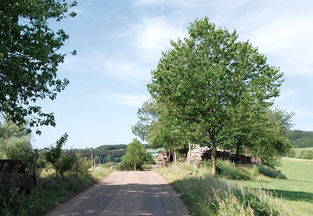 npse_ww_overzicht_92, © C. Kempe npse_ww_overzicht_92, © C. Kempe