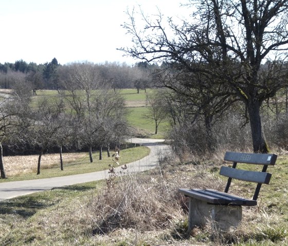 Un banc se trouve au bord du chemin, avec vue sur un paysage rural. Un sentier sinueux traverse des champs et des arbres., © Eifelverein Ortsgruppe Speicher Un banc se trouve au bord du chemin, avec vue sur un paysage rural. Un sentier sinueux traverse des champs et des arbres., © Eifelverein Ortsgruppe Speicher