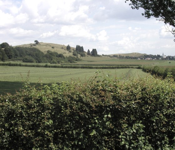 Blick auf Burg Hartelstein bei Schwirzheim, © Naturparkzentrum Prümer Land Blick auf Burg Hartelstein bei Schwirzheim, © Naturparkzentrum Prümer Land