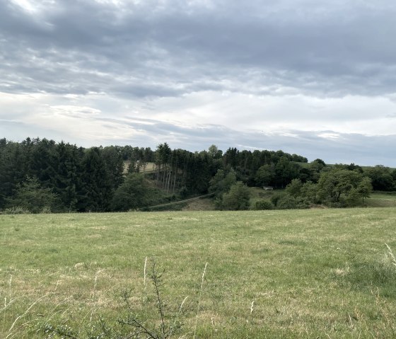 IMG_7895, © Ingo Kleis IMG_7895, © Ingo Kleis