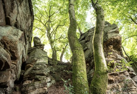 Rocher près du passage Mandrack dans le NaturWanderPark delux, © Eifel Toursimus GmbH, D. Ketz Rocher près du passage Mandrack dans le NaturWanderPark delux, © Eifel Toursimus GmbH, D. Ketz