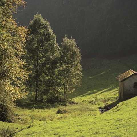 Kleine Hütte auf grüner Wiese im Kammerwald, umgeben von Bäumen im Sonnenlicht. Malerische Landschaft., © Naturpark Südeifel, P. Haas Kleine Hütte auf grüner Wiese im Kammerwald, umgeben von Bäumen im Sonnenlicht. Malerische Landschaft., © Naturpark Südeifel, P. Haas