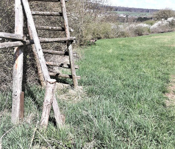 welschbillig-schilzenburg_1, © Alexa Hansen welschbillig-schilzenburg_1, © Alexa Hansen