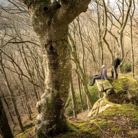 Deux personnes sont debout et assises sur un rocher recouvert de mousse dans une forêt dénudée. Les arbres sont hauts et denses, sans feuillage., © Eifel Tourismus GmbH, D. Ketz Deux personnes sont debout et assises sur un rocher recouvert de mousse dans une forêt dénudée. Les arbres sont hauts et denses, sans feuillage., © Eifel Tourismus GmbH, D. Ketz