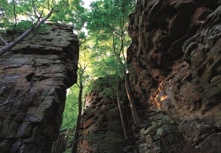 Sandsteinfelsen im Naturpark Mellerdall, © Naturpark Südeifel, Ch. Schleder Sandsteinfelsen im Naturpark Mellerdall, © Naturpark Südeifel, Ch. Schleder
