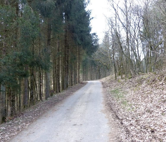 Waldweg, © Tourist-Information Islek Waldweg, © Tourist-Information Islek