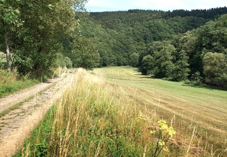 près de Gentingen, © V. Teuschler près de Gentingen, © V. Teuschler