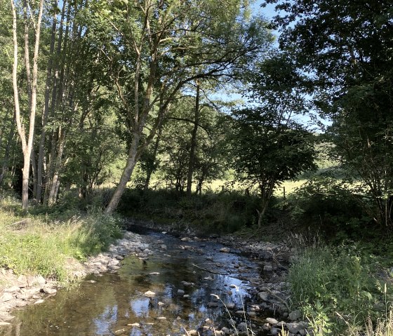 Zuschnitt IMG_8018, © Ingo Kleis Zuschnitt IMG_8018, © Ingo Kleis