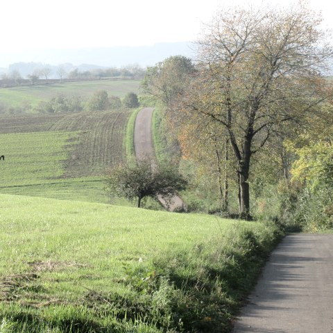 img_8409, © N. Mainz img_8409, © N. Mainz