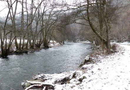 Ein verschneiter Flusslauf mit kahlen Bäumen am Ufer. Der Weg entlang des Flusses ist ebenfalls mit Schnee bedeckt., © Eifelverein Ortsgruppe Speicher Ein verschneiter Flusslauf mit kahlen Bäumen am Ufer. Der Weg entlang des Flusses ist ebenfalls mit Schnee bedeckt., © Eifelverein Ortsgruppe Speicher