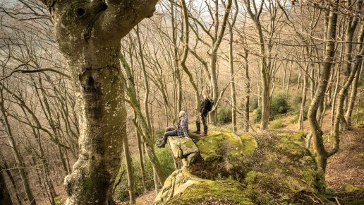 Zwei Personen stehen und sitzen auf einem moosbedeckten Felsen in einem kahlen Wald. Die Bäume sind hoch und dicht, ohne Laub., © Eifel Tourismus GmbH, D. Ketz Zwei Personen stehen und sitzen auf einem moosbedeckten Felsen in einem kahlen Wald. Die Bäume sind hoch und dicht, ohne Laub., © Eifel Tourismus GmbH, D. Ketz