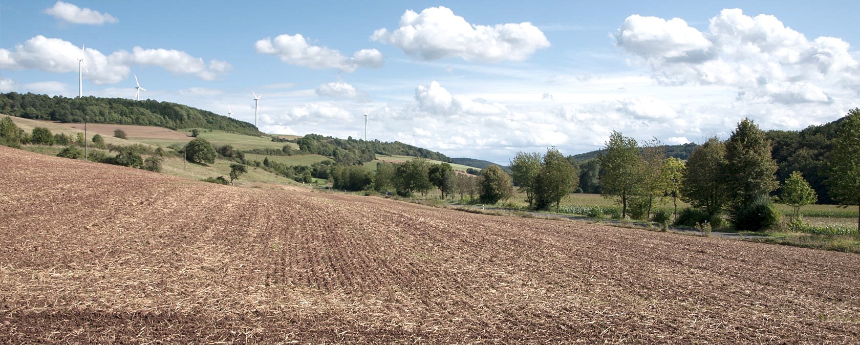 Uitgestrekt landschap met velden, bomen en windturbines op de achtergrond. De lucht is blauw met witte wolken., © V. Teuschler Uitgestrekt landschap met velden, bomen en windturbines op de achtergrond. De lucht is blauw met witte wolken., © V. Teuschler