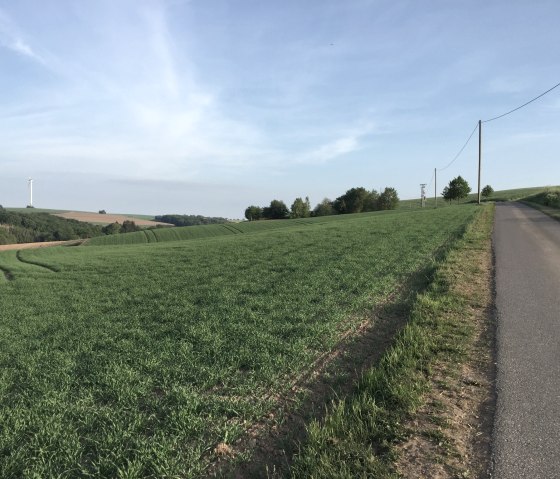 img_1075, © Manuel Norta, Ammeldingen img_1075, © Manuel Norta, Ammeldingen