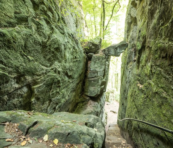 Gorge étroite, couverte de mousse, avec des parois rocheuses abruptes et un sentier étroit qui descend. En haut, on peut voir des arbres et de la lumière., © Rheinland-Pfalz Tourismus, D. Ketz Gorge étroite, couverte de mousse, avec des parois rocheuses abruptes et un sentier étroit qui descend. En haut, on peut voir des arbres et de la lumière., © Rheinland-Pfalz Tourismus, D. Ketz