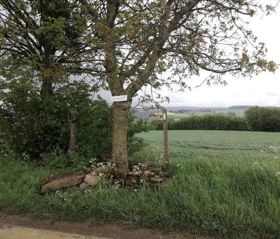 Schilzenburg 12, © Nicole Zimmer Schilzenburg 12, © Nicole Zimmer