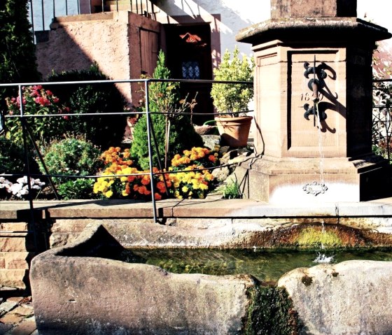 Ein steinerner Brunnen in Dudeldorf mit Wasserbecken, umgeben von bunten Blumen und Pflanzen., © Melanie Lonien Ein steinerner Brunnen in Dudeldorf mit Wasserbecken, umgeben von bunten Blumen und Pflanzen., © Melanie Lonien