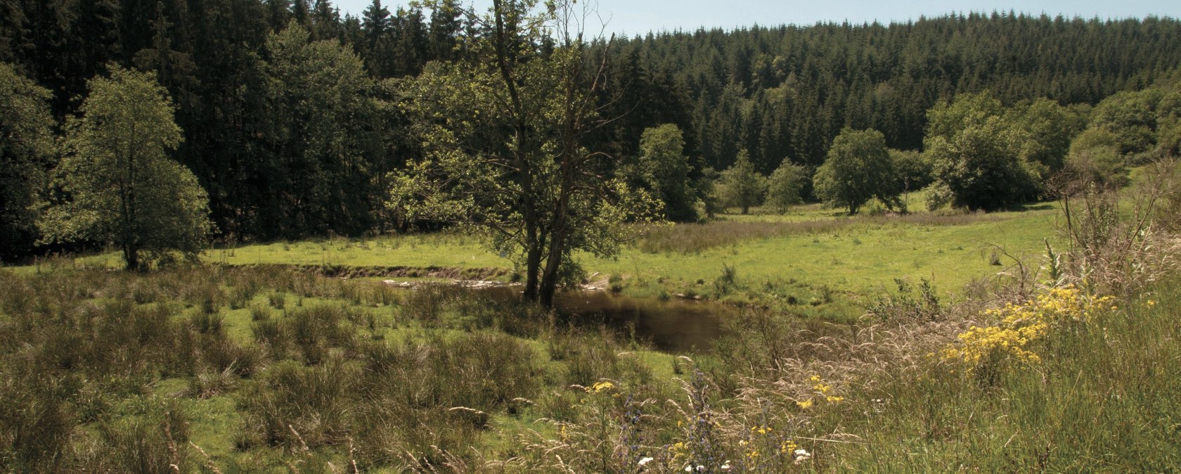 Naturpark Südeifel - Irsenpfad, © Joelle Mathias Naturpark Südeifel - Irsenpfad, © Joelle Mathias