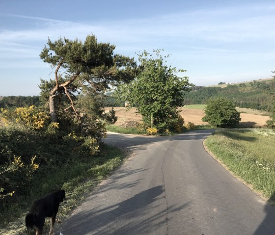 img_1071, © Manuel Norta, Ammeldingen img_1071, © Manuel Norta, Ammeldingen